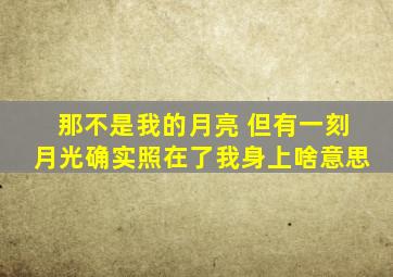 那不是我的月亮 但有一刻月光确实照在了我身上啥意思